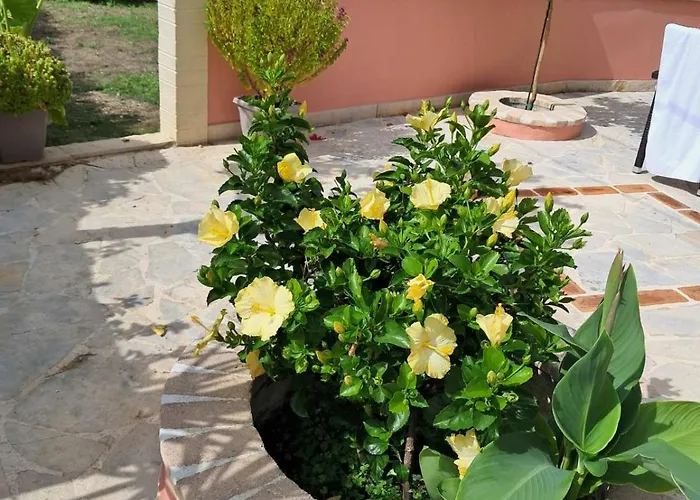 Nyaraló Krista House Ájosz Górdiosz