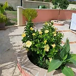 Σπίτι διακοπών Krista House Άγιος Γόρδιος